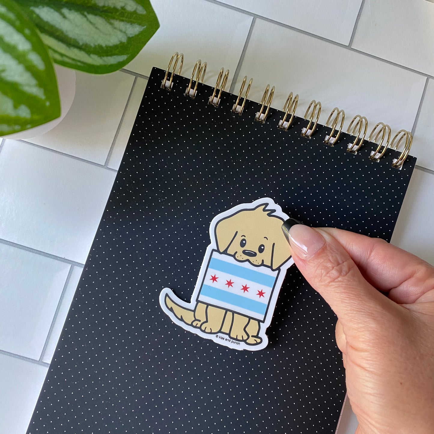 NEW! Chicago Flag Golden Retriever Dog 3 Inch Diecut Vinyl Sticker
