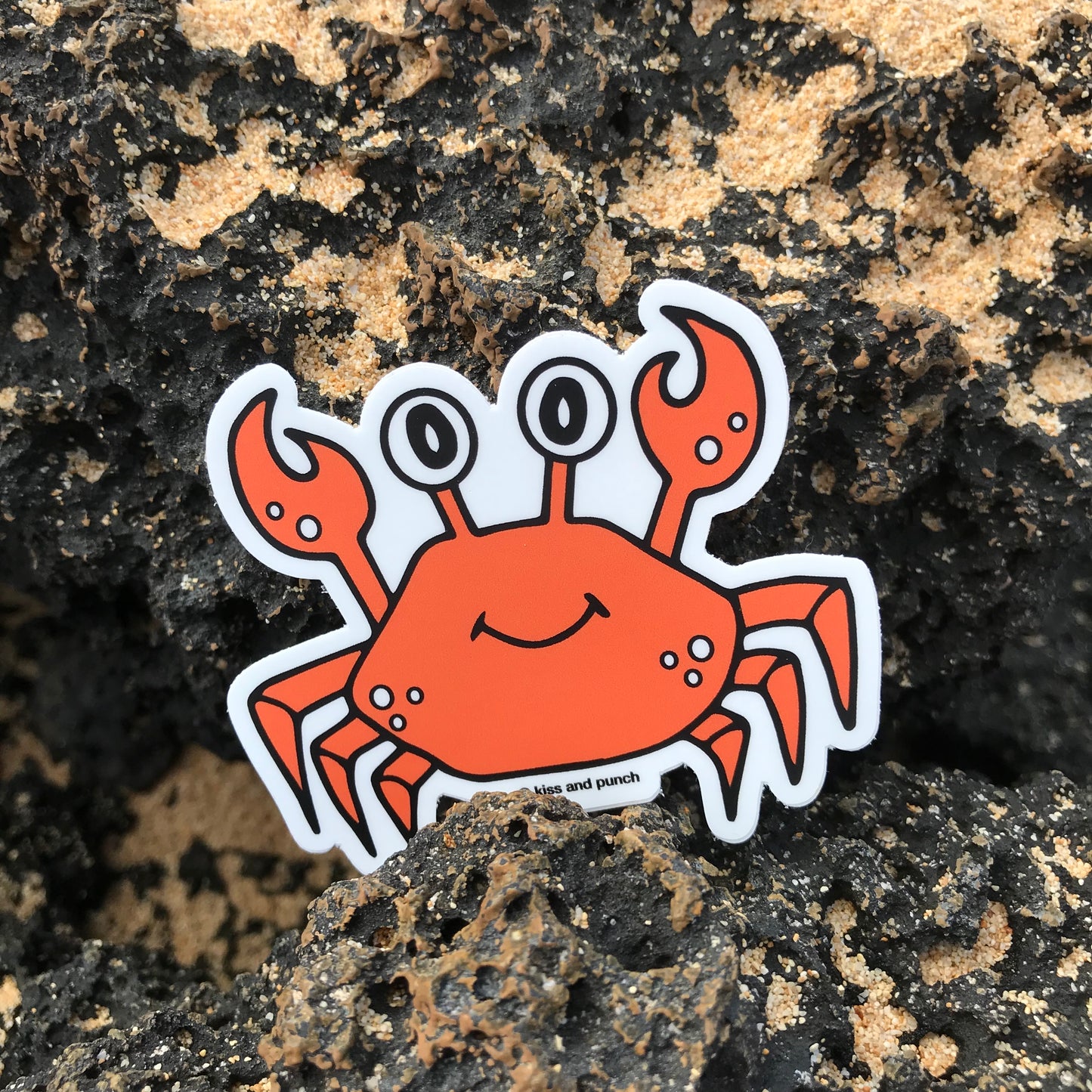 Crab sticker on sandy ocean rocks