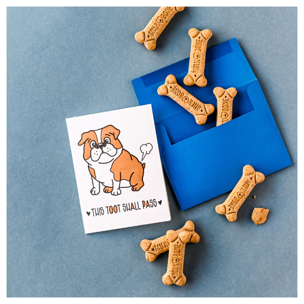 NEW! Funny Encouragement Sympathy Letterpress Card | This Toot Shall Pass | Farting Bulldog - Kiss and Punch