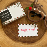 NEW! Mini Notecard Set of 60 - Christmas Airmail Flat Cards - Lunch Notes - Mini Cards - Enclosure cards