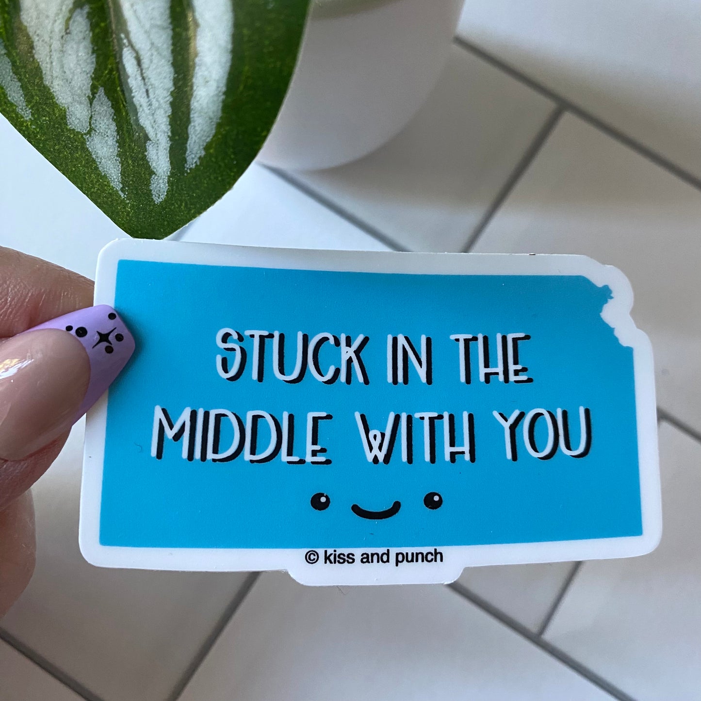 Funny 3 Inch Silly State Kansas Stuck In the Middle Diecut Vinyl Sticker